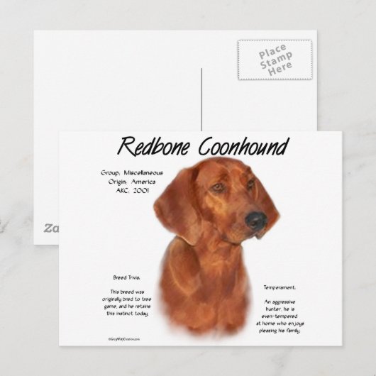 Ontwerpontwerp voor coonhoundhistorie briefkaart (Voorkant / Achterkant)