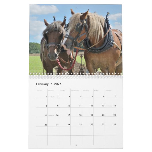 Ontwerppaarden 2016 kalender (Feb 2026)