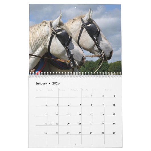 Ontwerppaarden 2016 kalender (Jan 2026)