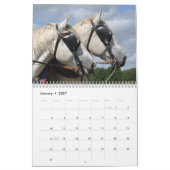 Ontwerppaarden 2016 kalender (Jan 2027)