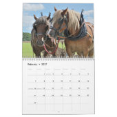 Ontwerppaarden 2016 kalender (Feb 2027)