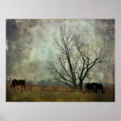 Ontwerppaarden in het veld poster (Voorkant)