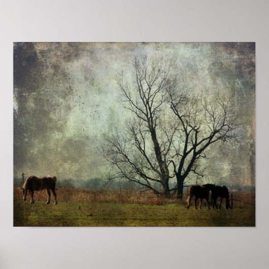 Ontwerppaarden in het veld poster (Voorkant)