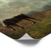 Ontwerppaarden in het veld poster (Hoek)