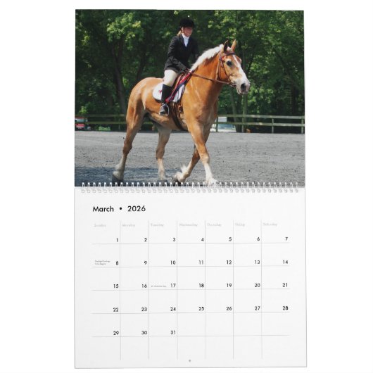 ONTWERPPAKKEN KALENDER (Mar 2026)