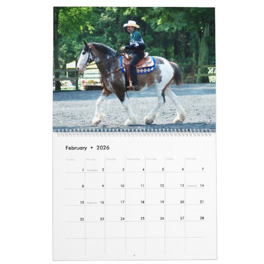 ONTWERPPAKKEN KALENDER (Feb 2026)