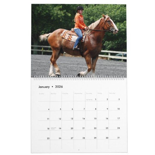 ONTWERPPAKKEN KALENDER (Jan 2026)