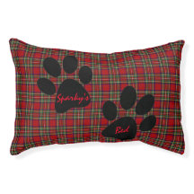 Ontwerppakket rode spelden en verfdrukken