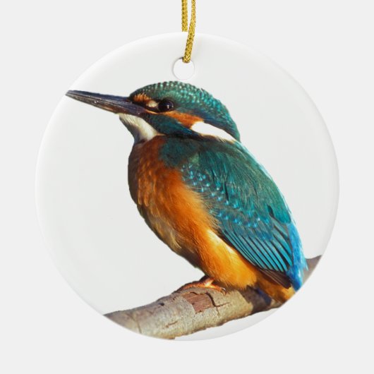 Ontwerpproducten "Kingfisher" Keramisch Ornament (Voorkant)