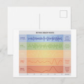Ontwerpregenboogkleuren voor menselijke breingolve briefkaart (Voorkant / Achterkant)