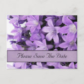 ONTWERPSTROOM BEWAREN DE DATUM BRIEFKAARTEN (Voorkant)