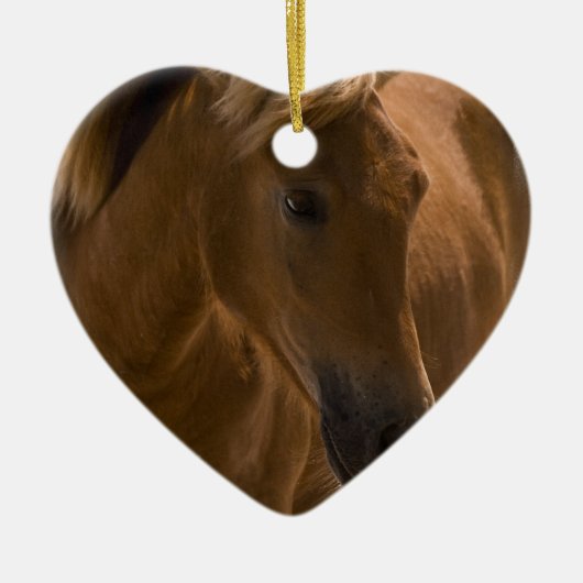 Ontwerpversiering van kastanjepaarden keramisch ornament (Voorkant)