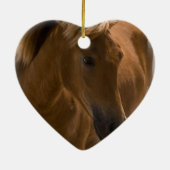 Ontwerpversiering van kastanjepaarden keramisch ornament (Achterkant)