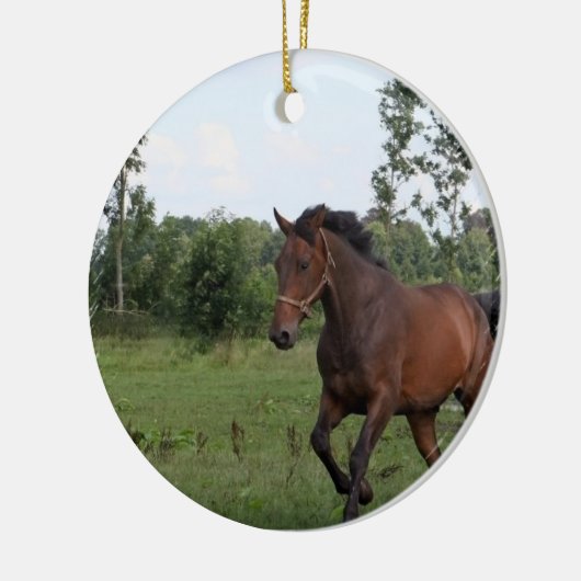 Ontwerpversiering voor buispaarden keramisch ornament (Links)