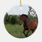 Ontwerpversiering voor buispaarden keramisch ornament (Achterkant)