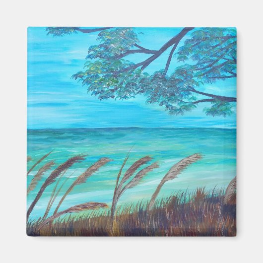 Ontwikkelaar: Moonstudio - Prolly Folly Magneet (Voorkant)