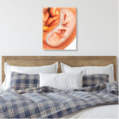 Ontwikkeling van de foetus na 36 weken canvas afdruk (Insitu (Slaapkamer))