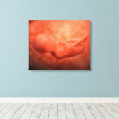 Ontwikkeling van de foetus op 24 weken canvas afdruk (Insitu (Houten vloer))