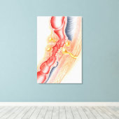 Ontwikkeling van fistels canvas afdruk (Insitu (Houten vloer))