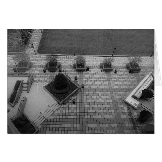 Ontwortelde wandelweg/Noir (Voorkant Horizontaal)