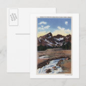 ontwricht nationaal bos, OF Briefkaart (Voorkant / Achterkant)