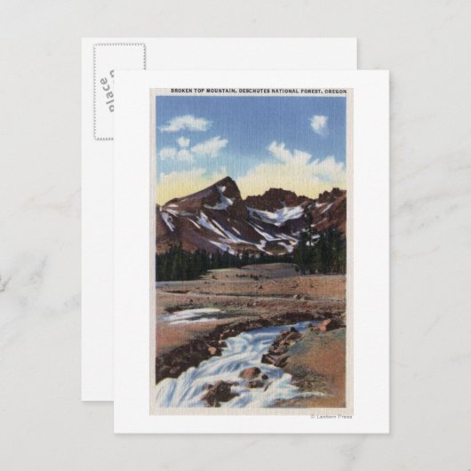 ontwricht nationaal bos, OF Briefkaart (Voorkant / Achterkant)