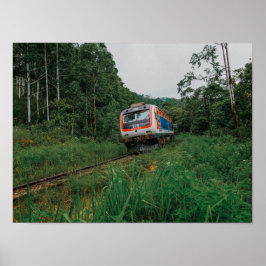 Ontziltings Trein Sri Lanka Poster