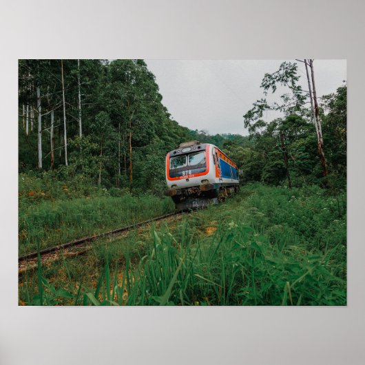 Ontziltings Trein Sri Lanka Poster (Voorkant)