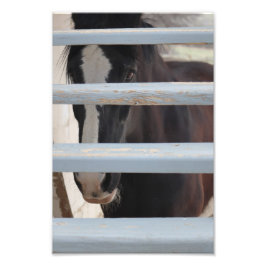 Onuitgesproken Band Foto Afdruk