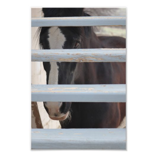 Onuitgesproken Band Foto Afdruk (Voorkant)
