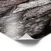 Onverdiende meisjes worden geconfronteerd met een foto afdruk (Hoek)