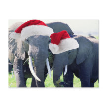 Onvergetelijke Olifant Kerstmis