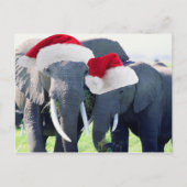 Onvergetelijke Olifant Kerstmis Feestdagenkaart (Voorkant)