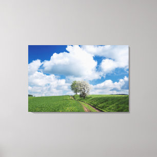 Onverharde Weg en Appelbomen Canvas Afdruk