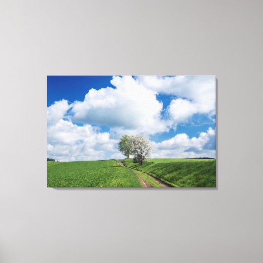 Onverharde Weg en Appelbomen Canvas Afdruk (Voorkant)