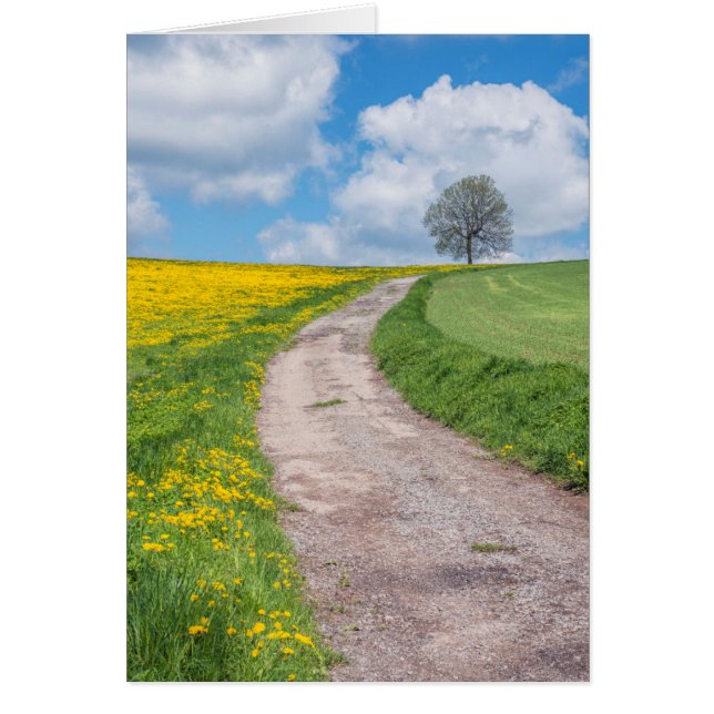Onverharde Weg en Boom (Voorkant)