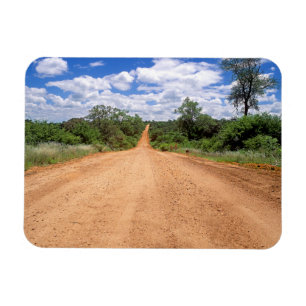 Onverharde weg, Nationaal park Kruger, Mpumalanga Magneet