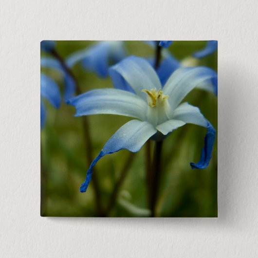 onverschrokken vierkante button 5,1 cm (Voorkant)