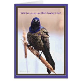 Onverstoorde Feather's Day (Voorkant)