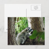 Onverwachte bezoeker, #6 briefkaart (Voorkant / Achterkant)