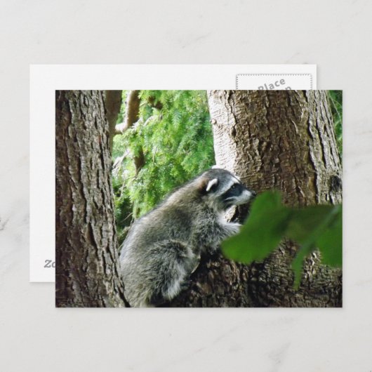 Onverwachte bezoeker, #6 briefkaart (Voorkant / Achterkant)