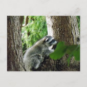 Onverwachte bezoeker, #6 briefkaart (Voorkant)