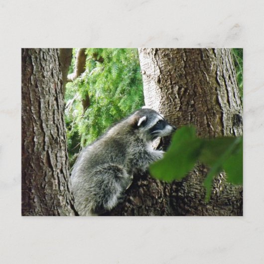 Onverwachte bezoeker, #6 briefkaart (Voorkant)