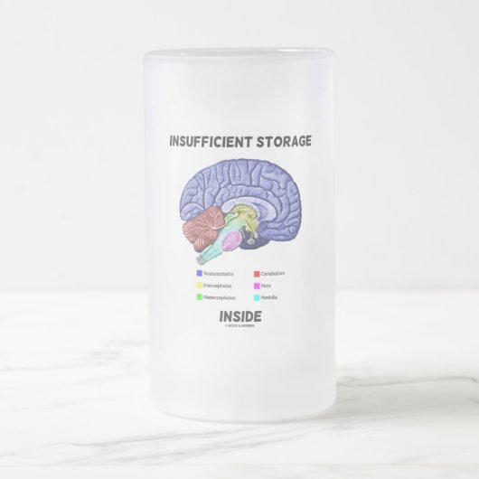 Onvoldoende opslag in de Humor van de hersenanatom Matglas Bierpul (Center)