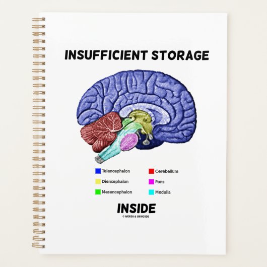 Onvoldoende Opslagruimte Binnen Hersen Anatomie Hu Planner (Voorkant)