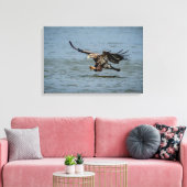 Onvolgroeide adelaar die duikt op vis canvas afdruk (Insitu (Woonkamer))