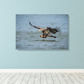 Onvolgroeide adelaar die duikt op vis canvas afdruk (Insitu (Houten vloer))