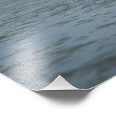 Onvolgroeide adelaar die duikt op vis foto afdruk (Hoek)