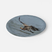 Onvolgroeide adelaar die duikt op vis papieren bordje (Gekanteld)