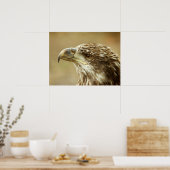 onvolgroeide Bald Eagle Poster (Keuken)